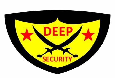 Deep Security Services Pte Ltd review