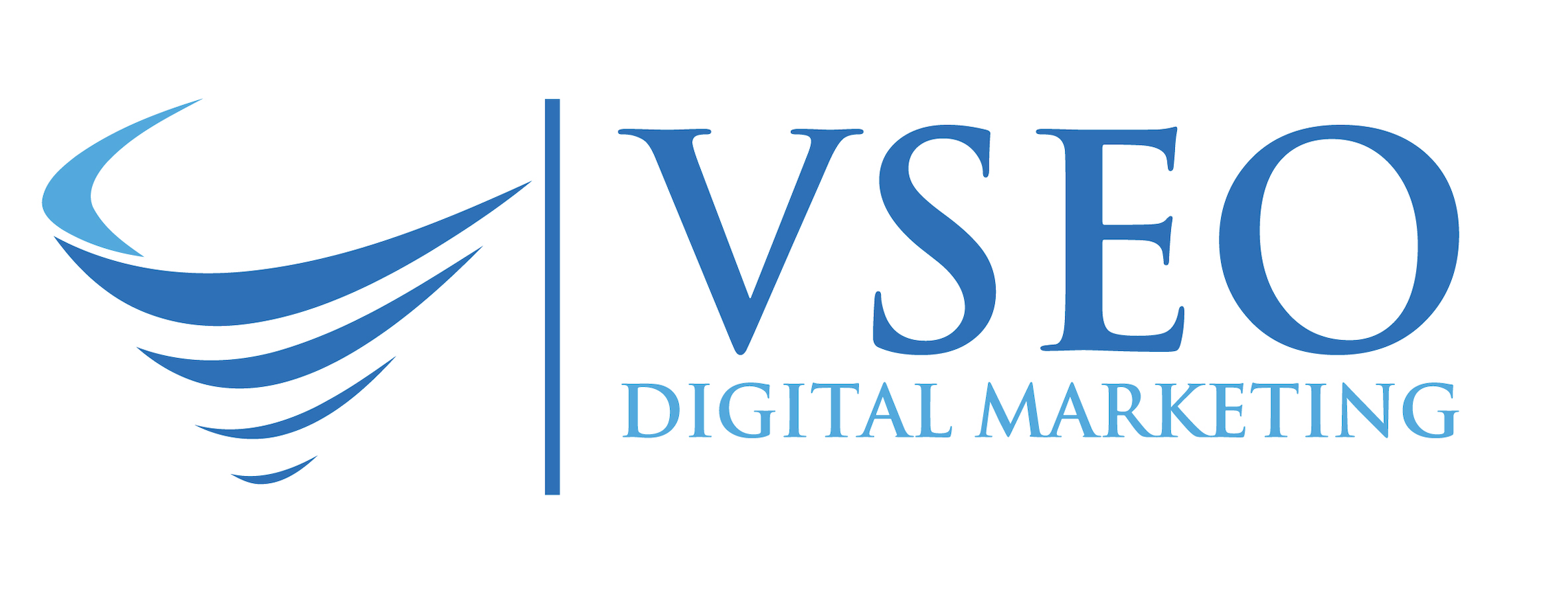 VSEO Digital Marketing review