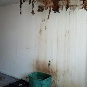 water-damage-from-roof-leak-in-a-house-with-ceilin-2021-08-30-22-58-01-utc