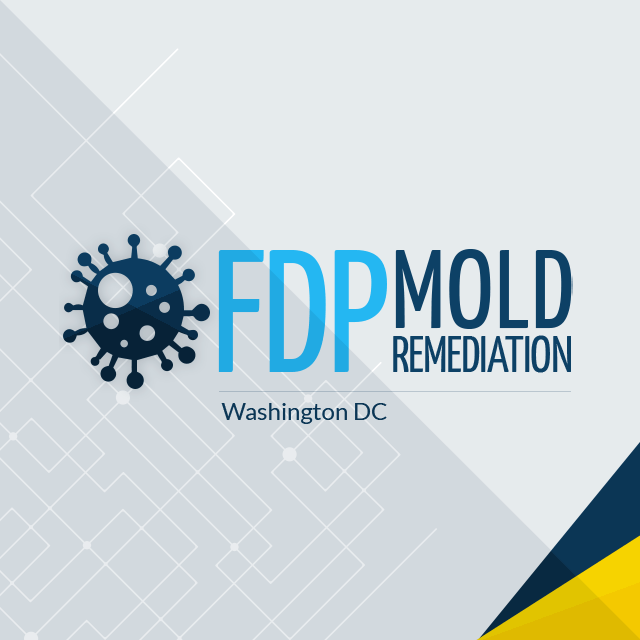FDP Mold Remediation of DC review