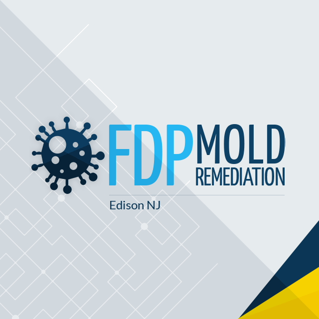 FDP Mold Remediation of Edison review