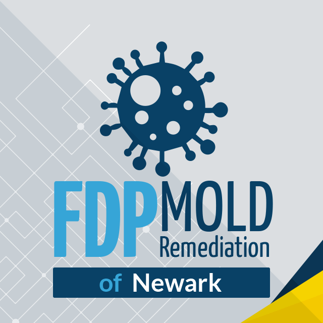 FDP Mold Remediation of Newark review