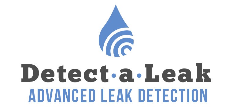 Detect-a-Leak MS review