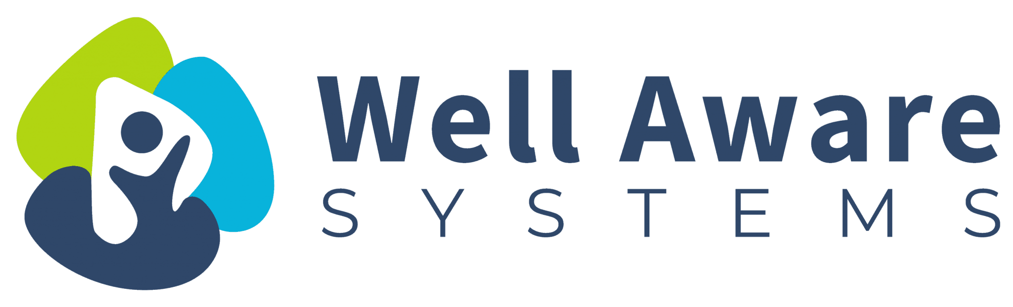 WellAwareSystems review