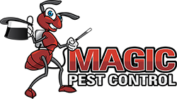 Magic Pest Control review