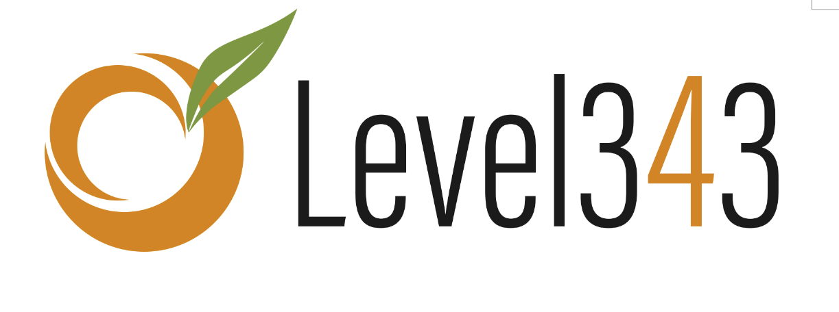 Level343 - International Marketing & SEO Company review