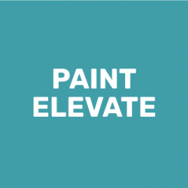 Paint Elevate review