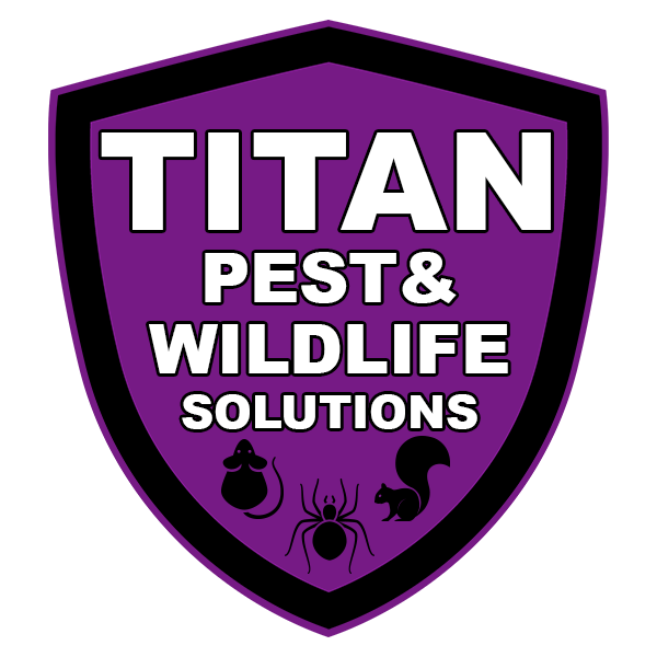 Titan Pest and Wildlife Solutions review