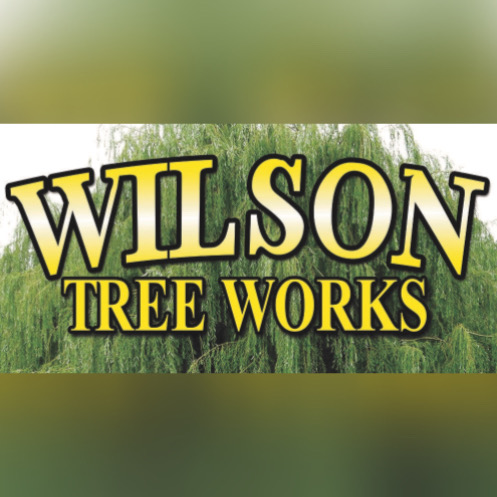 WILSON TREE WORKS review