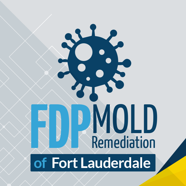 FDP Mold Remediation of Fort Lauderdale review