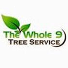 The Whole 9 Tree Service review
