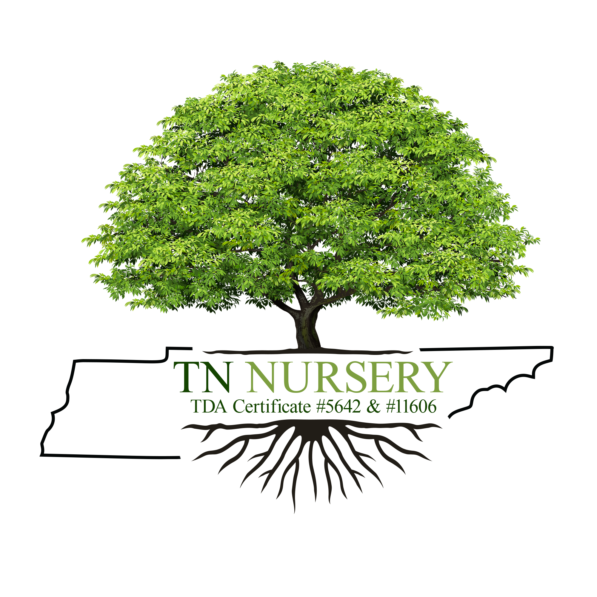 Tennessee Wholesale Nursery review