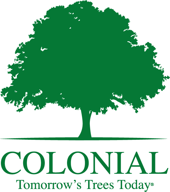Colonial Tree Service review