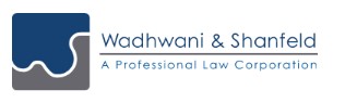 Wadhwani & Shanfeld review
