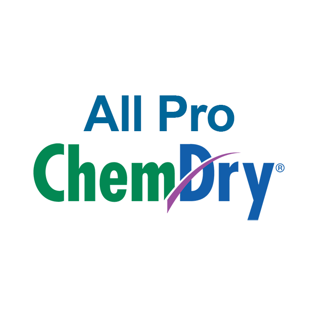 All Pro Chem-Dry review