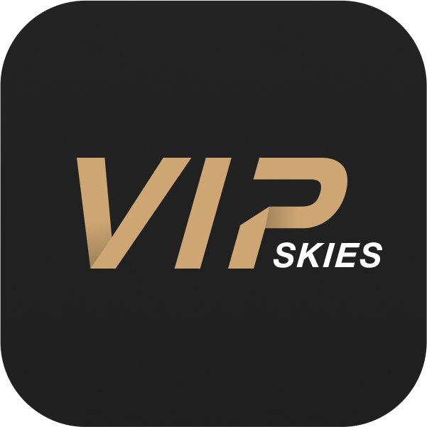 VIP Skies Travel review